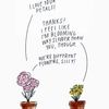 collieflower1